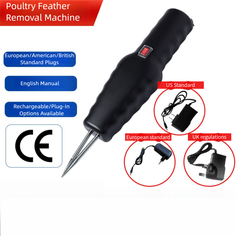 d9026fb5-bc48-469b-b09c-4a182d5c1ed9